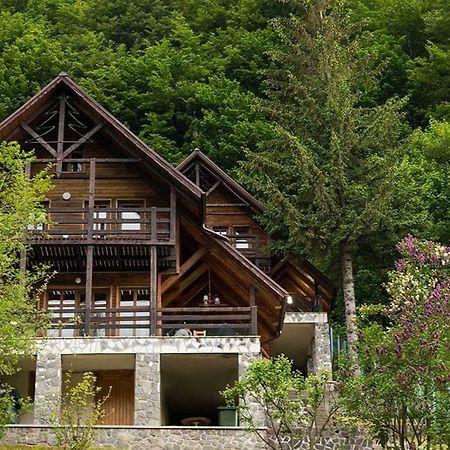 Vila Florile Bucegilor Sinaia Exteriér fotografie