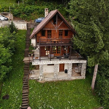 Vila Florile Bucegilor Sinaia Exteriér fotografie