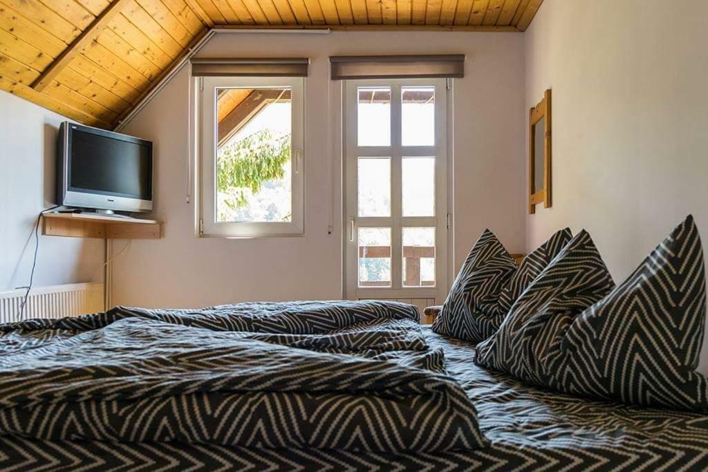 Vila Florile Bucegilor Sinaia Exteriér fotografie