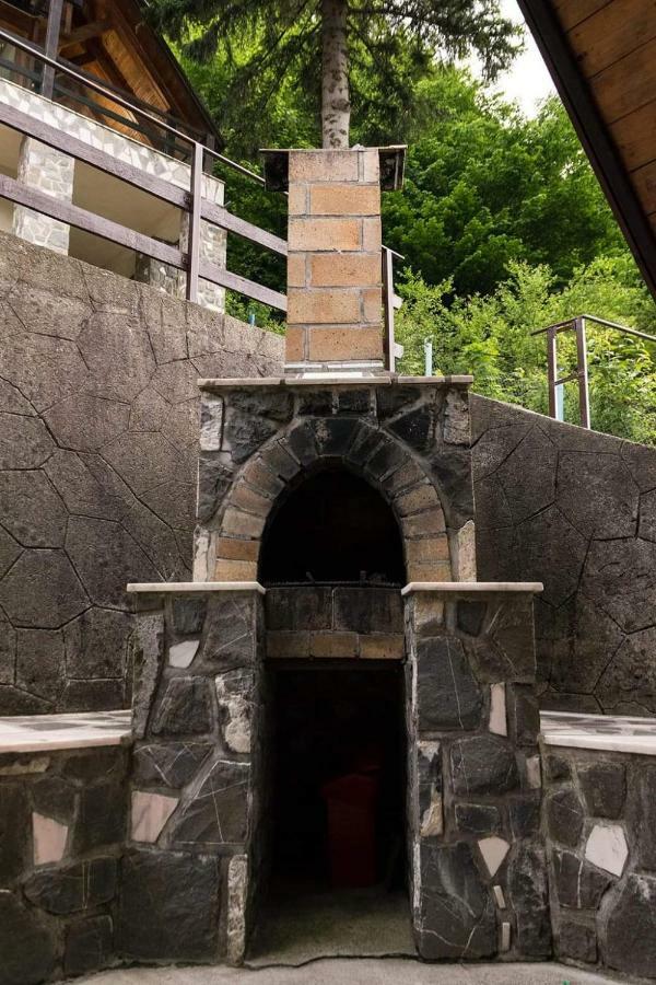 Vila Florile Bucegilor Sinaia Exteriér fotografie