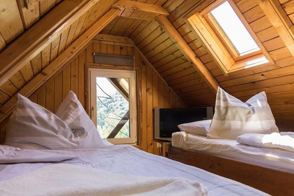 Vila Florile Bucegilor Sinaia Exteriér fotografie