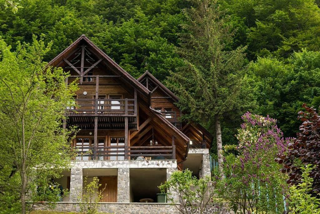 Vila Florile Bucegilor Sinaia Exteriér fotografie