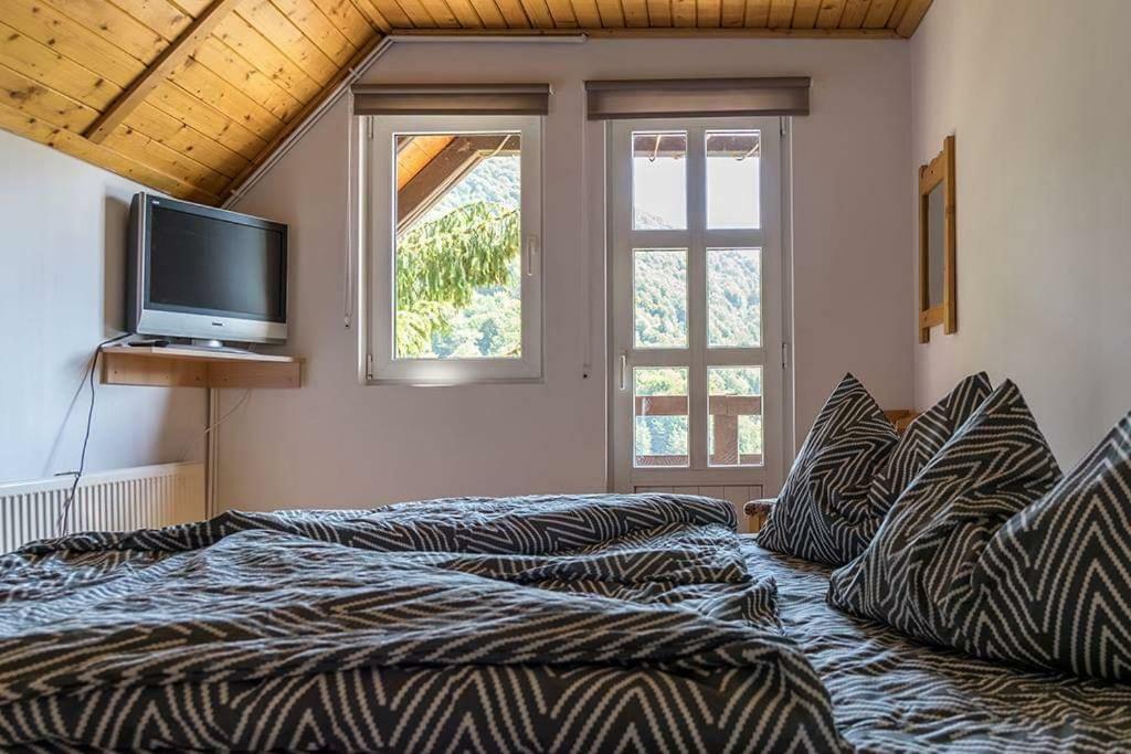 Vila Florile Bucegilor Sinaia Exteriér fotografie