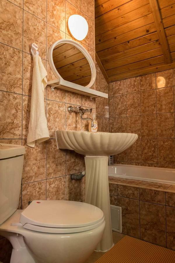 Vila Florile Bucegilor Sinaia Exteriér fotografie