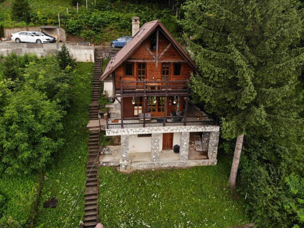 Vila Florile Bucegilor Sinaia Exteriér fotografie