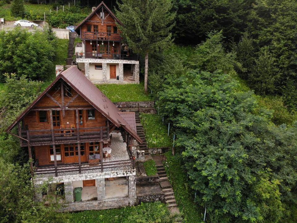 Vila Florile Bucegilor Sinaia Exteriér fotografie