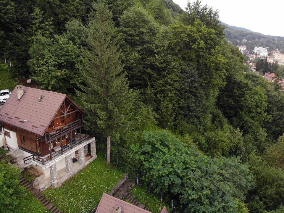 Vila Florile Bucegilor Sinaia Exteriér fotografie